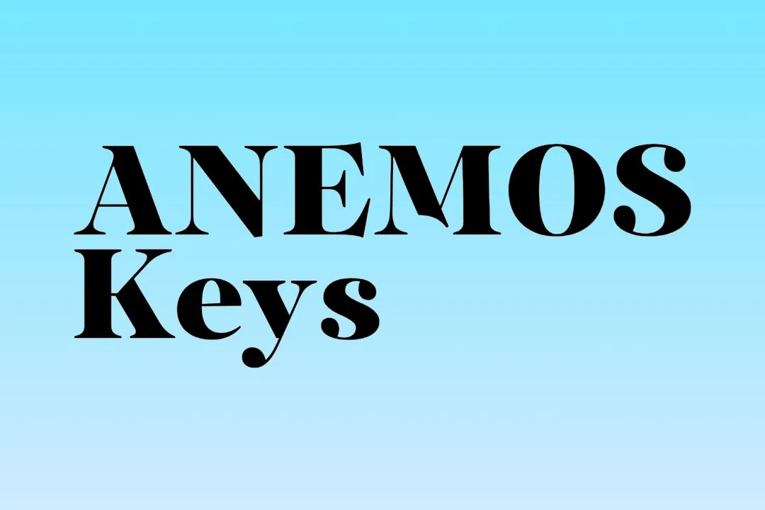 Anemos Keys bespoke concierge website preview